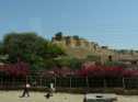 Jour 6 : JAISALMER - JODHPUR